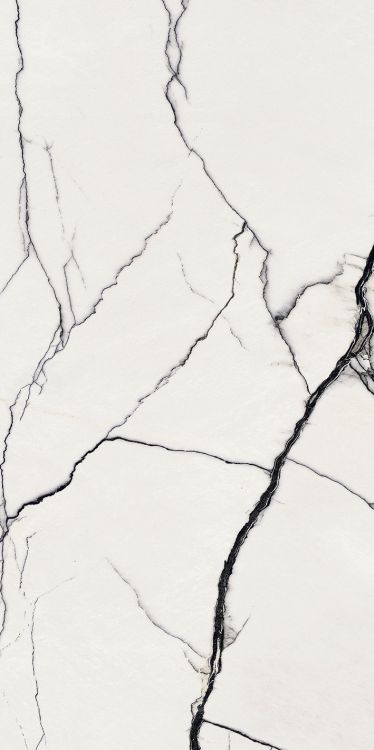 B&W Breach High-Glossy 24 x 48